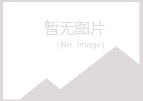 河池曼易能源有限公司